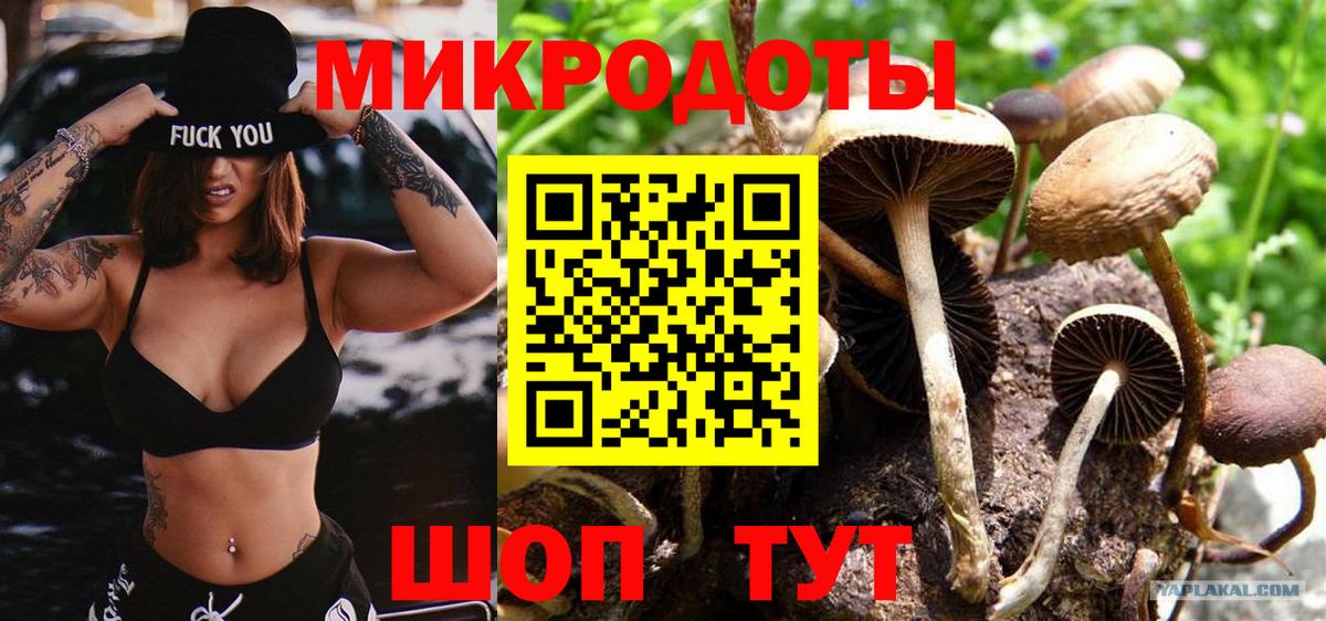 Галлюциногенные грибы мухоморы  Вход с VPN  Псилоцибиновые грибы Psilocybe  Всеволожск 