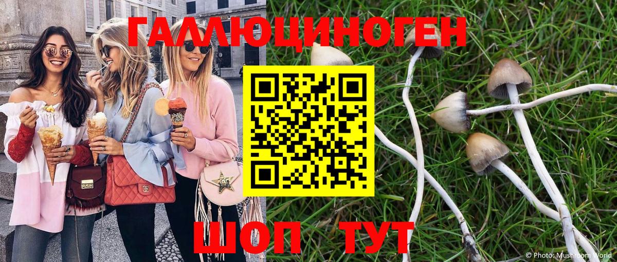 Галлюциногенные грибы Magic Shrooms Всеволожск
